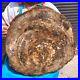 43_56LB_Natural_Petrified_Wood_Slice_Real_Authentic_Piece_History_Fossil_1978_01_kmnn