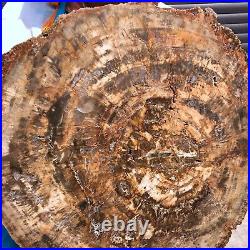 43.56LB Natural petrified wood fossil crystal polished slice Madagascar 1978 43.56LB Natural petrified wood fossil crystal polished slice Madagascar 1978