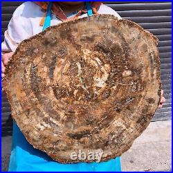 43.56LB Natural petrified wood fossil crystal polished slice Madagascar 1978 43.56LB Natural petrified wood fossil crystal polished slice Madagascar 1978