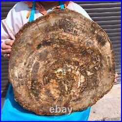 43.56LB Natural petrified wood fossil crystal polished slice Madagascar 1978 43.56LB Natural petrified wood fossil crystal polished slice Madagascar 1978