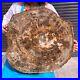 44LB_Natural_Petrified_Wood_Slice_Real_Authentic_Piece_History_Fossil_1972_01_kq