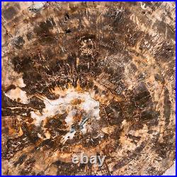 44LB Natural Petrified Wood Slice Real Authentic Piece History Fossil 1972 44LB Natural Petrified Wood Slice Real Authentic Piece History Fossil 1972