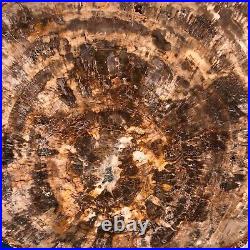 44LB Natural petrified wood fossil crystal polished slice Madagascar 1972