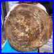44_88LB_Natural_Petrified_Wood_Fossil_slab_Crystal_mineral_Slice_reiki_Healing_01_iv
