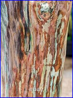 45 Kilos Super Rare! Opalized Petrified Wood Decoration Polished Collectable
