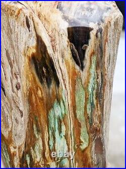45 Kilos Super Rare! Opalized Petrified Wood Decoration Polished Collectable