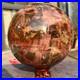 4645g_Natural_Petrified_Wood_Fossil_Quartz_Crystal_Sphere_Mineral_Specimen_01_iv