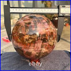 4645g Natural Petrified Wood Fossil Quartz Crystal Sphere Mineral Specimen 4645g Natural Petrified Wood Fossil Quartz Crystal Sphere Mineral Specimen