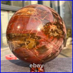 4645g Natural Petrified Wood Fossil Quartz Crystal Sphere Mineral Specimen 4645g Natural Petrified Wood Fossil Quartz Crystal Sphere Mineral Specimen