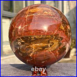 4645g Natural Petrified Wood Fossil Quartz Crystal Sphere Mineral Specimen 4645g Natural Petrified Wood Fossil Quartz Crystal Sphere Mineral Specimen