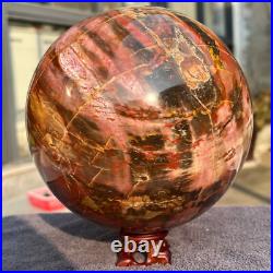 4645g Natural Petrified Wood Fossil Quartz Crystal Sphere Mineral Specimen 4645g Natural Petrified Wood Fossil Quartz Crystal Sphere Mineral Specimen
