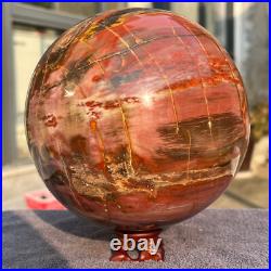 4645g Natural Petrified Wood Fossil Quartz Crystal Sphere Mineral Specimen 4645g Natural Petrified Wood Fossil Quartz Crystal Sphere Mineral Specimen