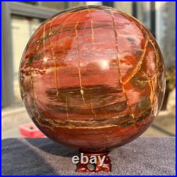 4645g Natural Petrified Wood Fossil Quartz Crystal Sphere Mineral Specimen 4645g Natural Petrified Wood Fossil Quartz Crystal Sphere Mineral Specimen