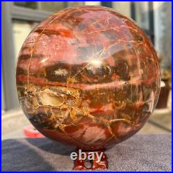 4645g Natural Petrified Wood Fossil Quartz Crystal Sphere Mineral Specimen 4645g Natural Petrified Wood Fossil Quartz Crystal Sphere Mineral Specimen