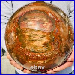 46.16lb Large Natural Petrified Wood Fossil Quartz Crystal Sphere Ball Healing 46.16lb Large Natural Petrified Wood Fossil Quartz Crystal Sphere Ball Healing