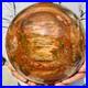 46_16lb_Large_Natural_Petrified_Wood_Fossil_Quartz_Crystal_Sphere_Ball_Healing_01_rtdi