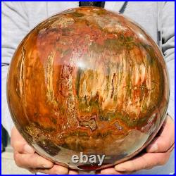 46.16lb Large Natural Petrified Wood Fossil Quartz Crystal Sphere Ball Healing 46.16lb Large Natural Petrified Wood Fossil Quartz Crystal Sphere Ball Healing