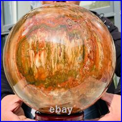 46.16lb Large Natural Petrified Wood Fossil Quartz Crystal Sphere Ball Healing 46.16lb Large Natural Petrified Wood Fossil Quartz Crystal Sphere Ball Healing