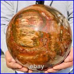 46.16lb Large Natural Petrified Wood Fossil Quartz Crystal Sphere Ball Healing 46.16lb Large Natural Petrified Wood Fossil Quartz Crystal Sphere Ball Healing