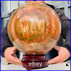 46.16lb Large Natural Petrified Wood Fossil Quartz Crystal Sphere Ball Healing 46.16lb Large Natural Petrified Wood Fossil Quartz Crystal Sphere Ball Healing