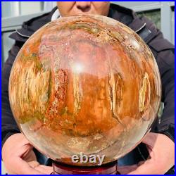 46.16lb Large Natural Petrified Wood Fossil Quartz Crystal Sphere Ball Healing 46.16lb Large Natural Petrified Wood Fossil Quartz Crystal Sphere Ball Healing