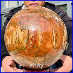46.16lb Large Natural Petrified Wood Fossil Quartz Crystal Sphere Ball Healing 46.16lb Large Natural Petrified Wood Fossil Quartz Crystal Sphere Ball Healing