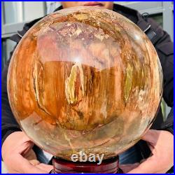 46.16lb Large Natural Petrified Wood Fossil Quartz Crystal Sphere Ball Healing 46.16lb Large Natural Petrified Wood Fossil Quartz Crystal Sphere Ball Healing