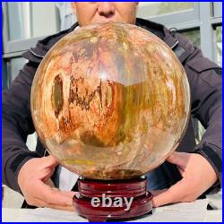 46.16lb Large Natural Petrified Wood Fossil Quartz Crystal Sphere Ball Healing 46.16lb Large Natural Petrified Wood Fossil Quartz Crystal Sphere Ball Healing