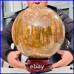 46.16lb Large Natural Petrified Wood Fossil Quartz Crystal Sphere Ball Healing 46.16lb Large Natural Petrified Wood Fossil Quartz Crystal Sphere Ball Healing