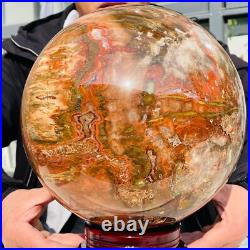46.16lb Large Natural Petrified Wood Fossil Quartz Crystal Sphere Ball Healing 46.16lb Large Natural Petrified Wood Fossil Quartz Crystal Sphere Ball Healing