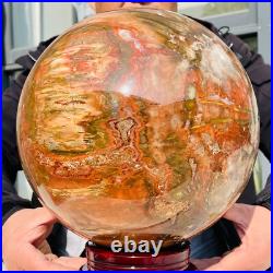 46.16lb Large Natural Petrified Wood Fossil Quartz Crystal Sphere Ball Healing 46.16lb Large Natural Petrified Wood Fossil Quartz Crystal Sphere Ball Healing