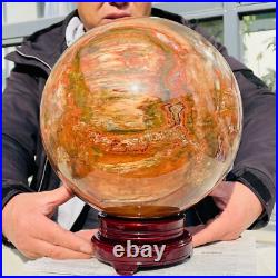 46.16lb Large Natural Petrified Wood Fossil Quartz Crystal Sphere Ball Healing 46.16lb Large Natural Petrified Wood Fossil Quartz Crystal Sphere Ball Healing