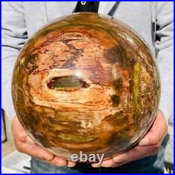 46.16lb Large Natural Petrified Wood Fossil Quartz Crystal Sphere Ball Healing 46.16lb Large Natural Petrified Wood Fossil Quartz Crystal Sphere Ball Healing