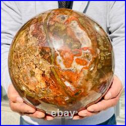 46.16lb Large Natural Petrified Wood Fossil Quartz Crystal Sphere Ball Healing 46.16lb Large Natural Petrified Wood Fossil Quartz Crystal Sphere Ball Healing