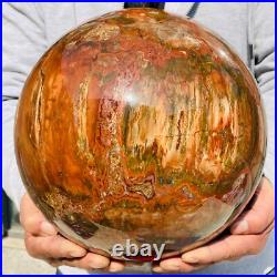 46.16lb Large Natural Petrified Wood Fossil Quartz Crystal Sphere Ball Healing 46.16lb Large Natural Petrified Wood Fossil Quartz Crystal Sphere Ball Healing
