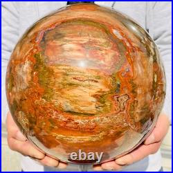 46.16lb Large Natural Petrified Wood Fossil Quartz Crystal Sphere Ball Healing 46.16lb Large Natural Petrified Wood Fossil Quartz Crystal Sphere Ball Healing