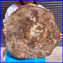 46.2LB Natural Petrified Wood Fossil Crystal Polished Slice- Madagascar