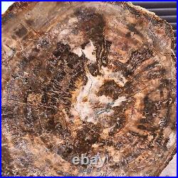 46.2LB Natural Petrified Wood Fossil Crystal Polished Slice- Madagascar