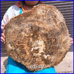 46.2LB Natural Petrified Wood Fossil Crystal Polished Slice- Madagascar