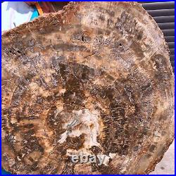 46.2LB Natural Petrified Wood Fossil Crystal Polished Slice- Madagascar