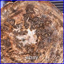 46.2LB Natural Petrified Wood Fossil Crystal Polished Slice- Madagascar