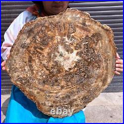 46.2LB Natural Petrified Wood Fossil Crystal Polished Slice- Madagascar