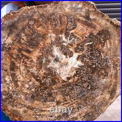 46.2LB Natural Petrified Wood Fossil Crystal Polished Slice- Madagascar