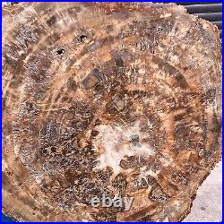 46.2LB Natural Petrified Wood Fossil Crystal Polished Slice- Madagascar