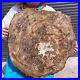 46_2LB_Natural_Petrified_Wood_Slab_Fossilized_Wood_Slice_Crystal_Gem_Specimen_01_jynz