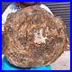 46_2LB_Natural_petrified_wood_fossil_crystal_polished_slice_Madagascar_1976_01_hlz