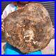 46_2LB_Natural_petrified_wood_fossil_crystal_polished_slice_Madagascar_1976_01_rl