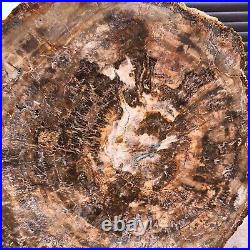 46.2LB Natural petrified wood fossil crystal polished slice Madagascar 1976 46.2LB Natural petrified wood fossil crystal polished slice Madagascar 1976