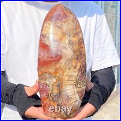 4710g Natural Fossil Petrified Wood Polished Freeform Crystal Mineral Healing 4710g Natural Fossil Petrified Wood Polished Freeform Crystal Mineral Healing