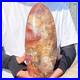 4710g_Natural_Fossil_Petrified_Wood_Polished_Freeform_Crystal_Mineral_Healing_01_ibe